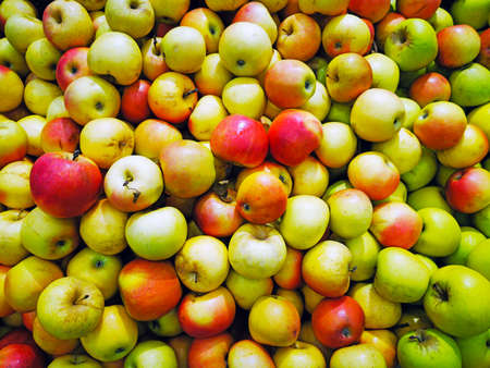 Group of green apples in the supermarket, Background of apples, Fresh apples from the farm garden, many apples in the market square. Healthy food concept.の写真素材