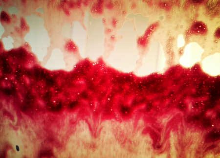 Abstract colorful smooth blurred background for your design.の写真素材