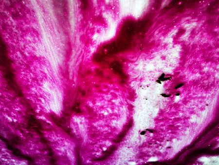 Abstract colorful smooth blurred background for your design.の写真素材