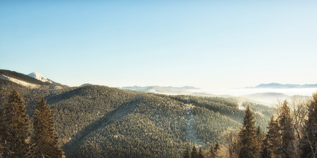 Beautiful view from the top of the mountain on marvelous landscape of trees and sky   
