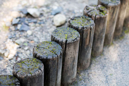 Fence made of wooden posts covered with moss in the forestの写真素材