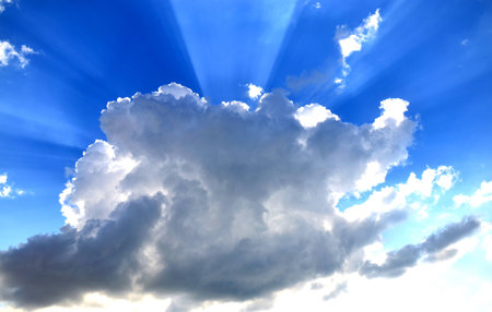 The rays of the sun through the lulacの写真素材