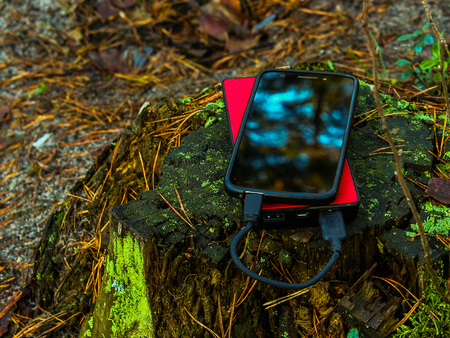 Black smartphone and  red powerbank on tree stumpの写真素材