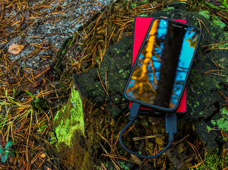 Black smartphone and  red powerbank on tree stumpの写真素材