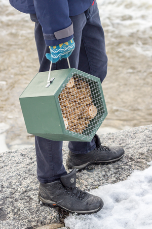 Man holding a green insect hotel in a hand standing close to water in a city environment during winterの写真素材