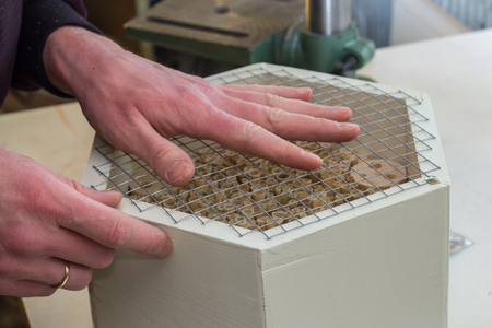 Hands of a man making a wooden white insect hotel, filling the insect house with reed and closing with a netの写真素材