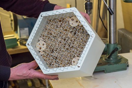 Male hands holding a ready made insect hotel of white wood, filled with reed pipes and covered with a silver metal net against workshop background with toolsの写真素材