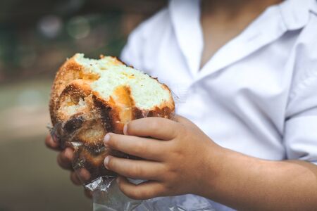adorable kid boy holding a bun close up sitting on a wooden bench in the park. fun holiday conceptの写真素材