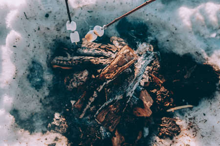 Marshmallow on branches over bonfire. winter themeの写真素材