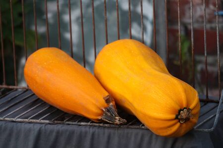 Yellow uncooked vegetable zucchini on a steel wire rack. Organic long pumpkin from the garden or from the market. Healthy vegan foodの写真素材