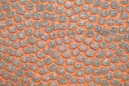 texture of a basketballの写真素材