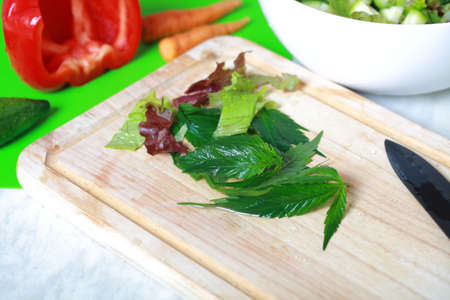 Fresh hemp leaves for salad preparation. The medical cannabisの写真素材