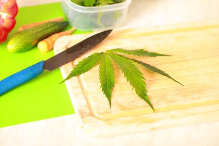 Fresh hemp leaves for salad preparation. The medical cannabisの写真素材