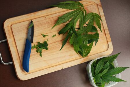 Fresh hemp leaves for salad preparation. The medical cannabisの写真素材