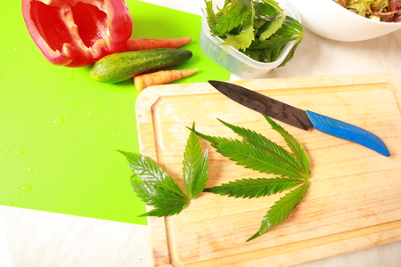 Fresh hemp leaves for salad preparation. The medical cannabisの写真素材