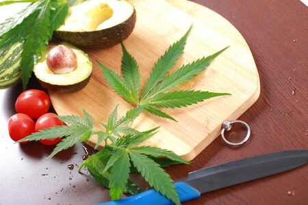 Fresh hemp leaves for salad preparation. The medical cannabis