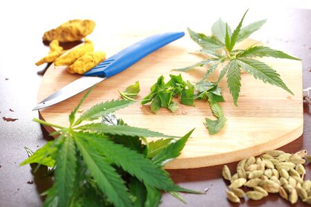 Fresh hemp leaves for salad preparation. The medical cannabisの写真素材