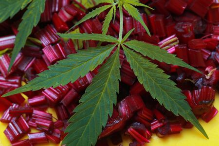 Ingredients for hemp salad fresh beets and potatoesの写真素材