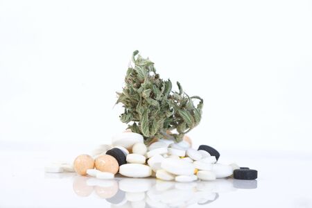 marijuana cannabismarijuana and cannabis. legal drugの写真素材
