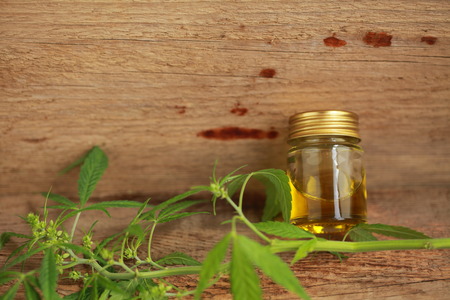 A cannabis leaf and a bottle of hemp oil on a wooden tableの写真素材