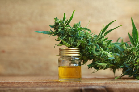cannabis oil and hempの写真素材