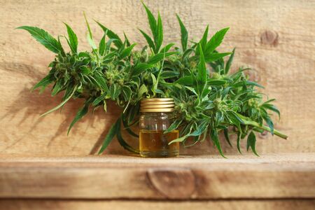 cannabis oil and hempの写真素材