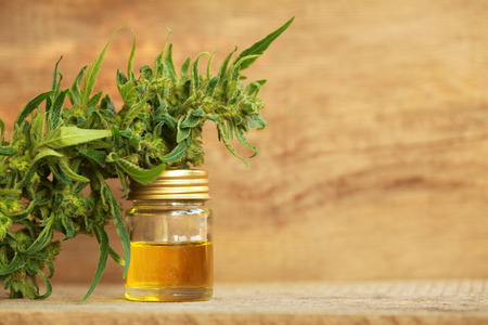 cannabis oil and hempの写真素材