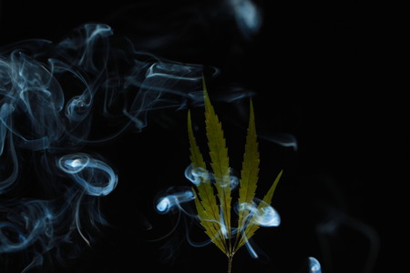 A green cannabis leaf on a black background enveloped in smoke