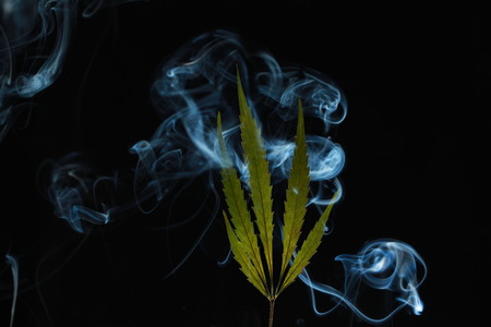 A green cannabis leaf on a black background enveloped in smokeの写真素材