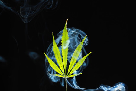 A green cannabis leaf on a black background enveloped in smokeの写真素材