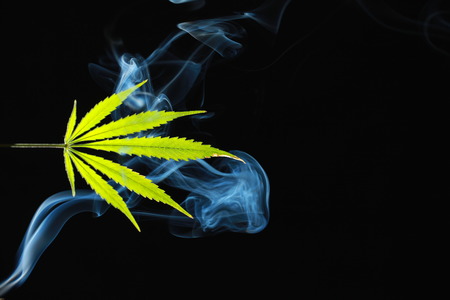 A green cannabis leaf on a black background enveloped in smokeの写真素材