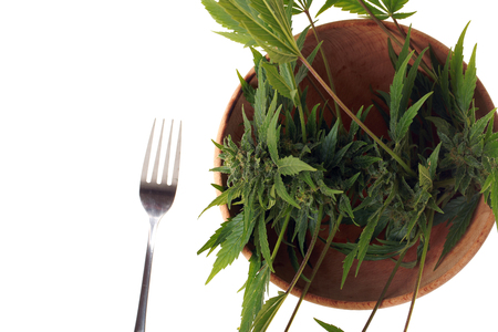 cannabis and hempの写真素材