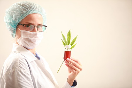 Woman doctor holding a cannabis leaf and oil.alternative medicineの写真素材