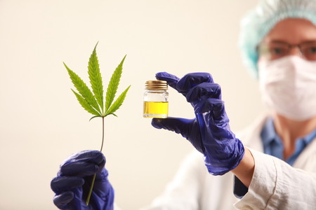 Woman doctor holding a cannabis leaf and oil.alternative medicineの写真素材
