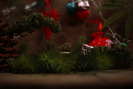 Cannabis oil in a bottle and hemp on a christmas backgroundの写真素材