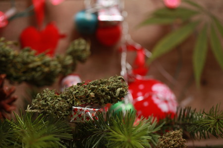 Cannabis oil in a bottle and hemp on a christmas backgroundの写真素材