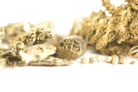 hashish cannabis  hempの写真素材