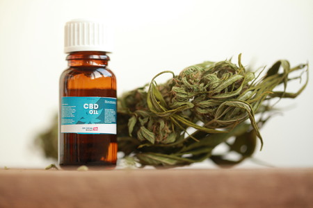 cannabis oil cbdの写真素材