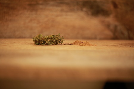 Cannabis cbd hemp seeds flourの写真素材