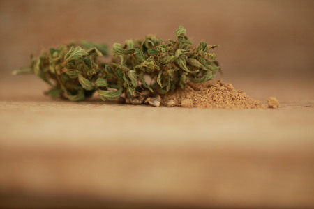 Cannabis cbd hemp seeds flourの写真素材