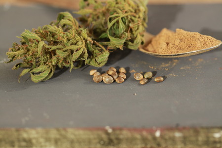 Cannabis cbd hemp seeds flourの写真素材