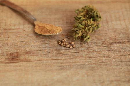 Cannabis cbd hemp seeds flourの写真素材