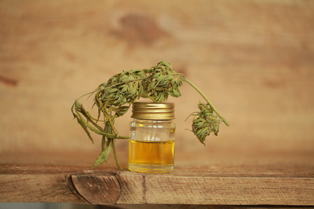 cannabis oil cbdの写真素材