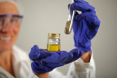 Doctor hand hold medical marijuana and seeds in vitro