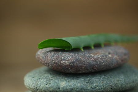 Aloe oil spa therapy wood backgroundの写真素材