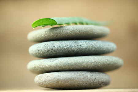 Aloe oil spa therapy wood backgroundの写真素材