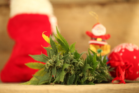 cannabis oil cbdの写真素材