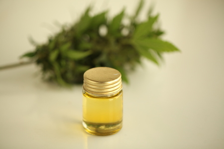 cannabis oil cbdの写真素材