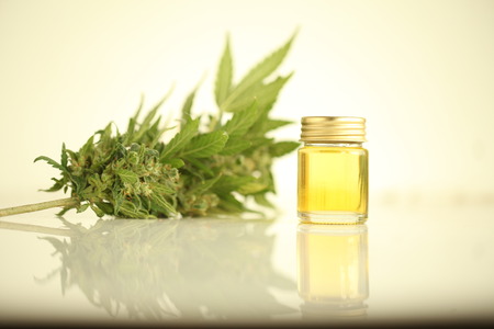 cannabis oil cbdの写真素材