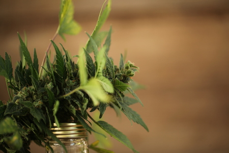 cannabis oil cbdの写真素材